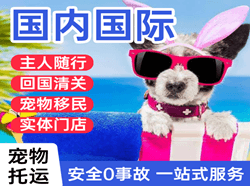 敦煌莫高空运国际宠物托运 【国
